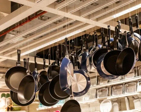 Teflon Diet, Garlic Milk and Zebra Cows Excel at 2025 Alternative Science Honors